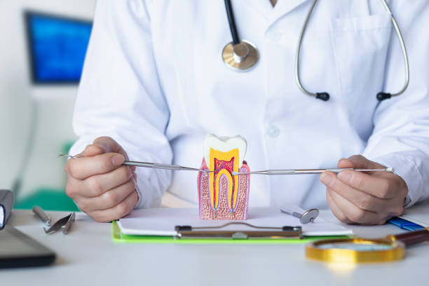 Best Emergency Gum Treatment in Homewood, SC